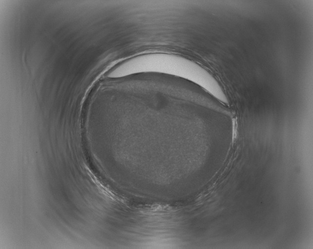 X0000078890243200612111812