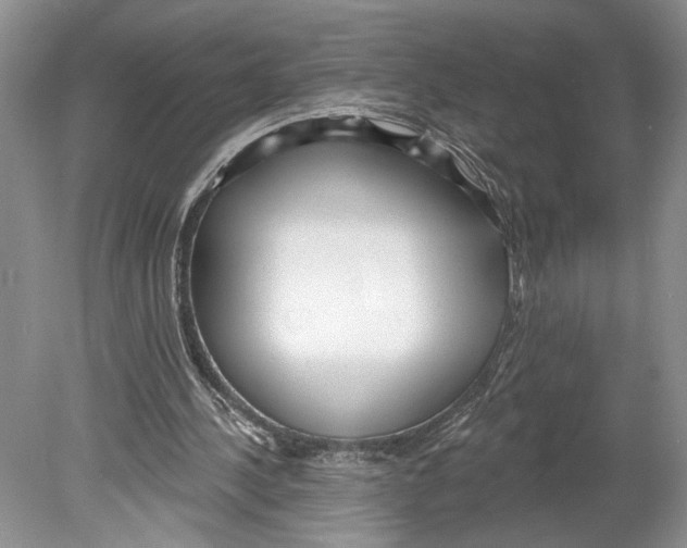 X0000078890244200612111812