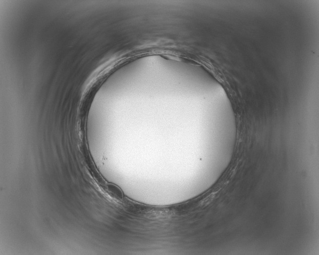 X0000078890245200612111812