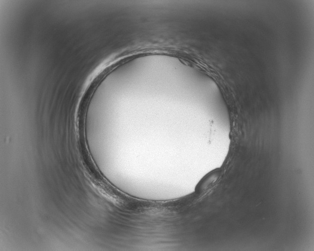 X0000078890246200612111812