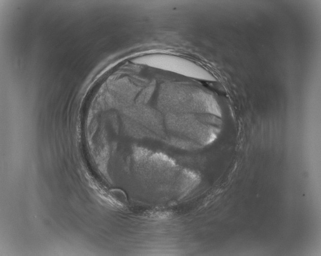 X0000078890247200612111812