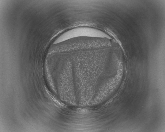 X0000078890249200612111812