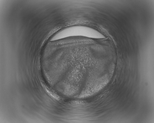 X0000078890250200612111812