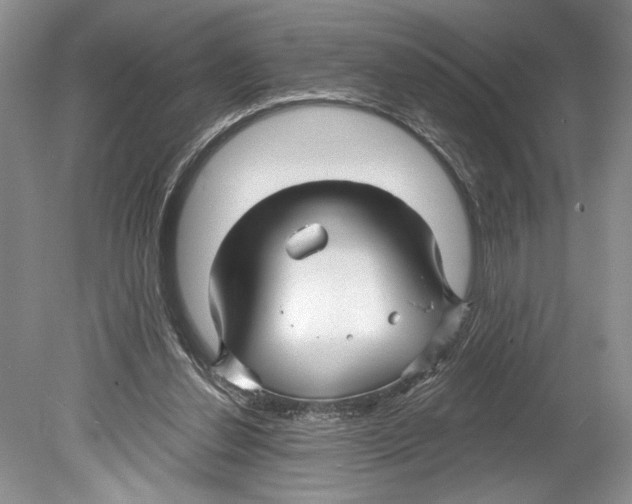 X0000078890252200612111813