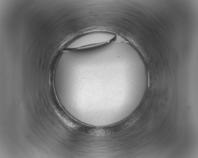 X0000078890253200612111813