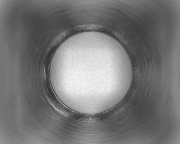 X0000078890254200612111813