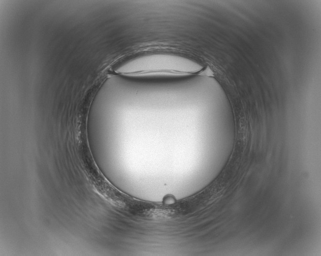 X0000078890255200612111813