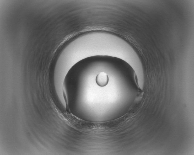 X0000078890256200612111813