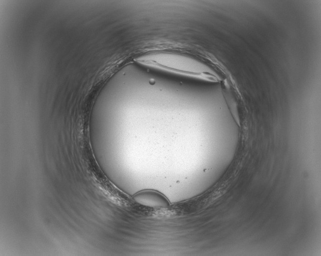 X0000078890257200612111813