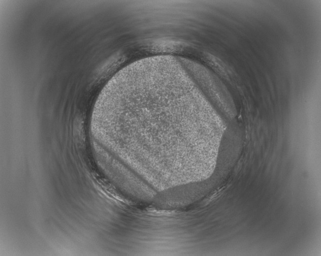 X0000078890258200612111813