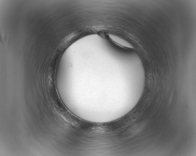 X0000078890259200612111813