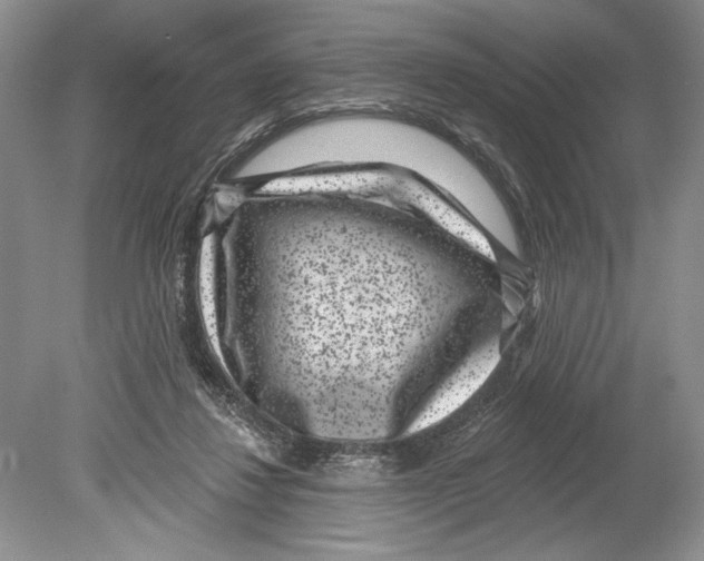 X0000078890260200612111813