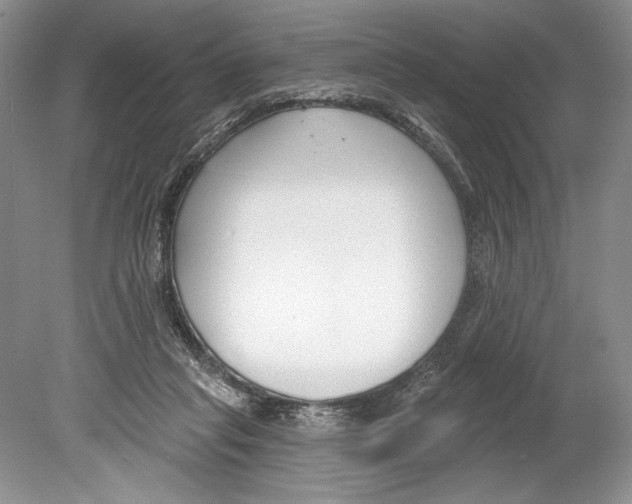 X0000078890261200612111813