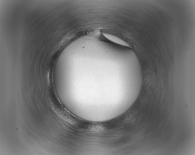 X0000078890262200612111813