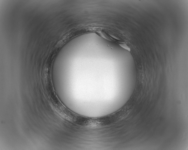 X0000078890263200612111813