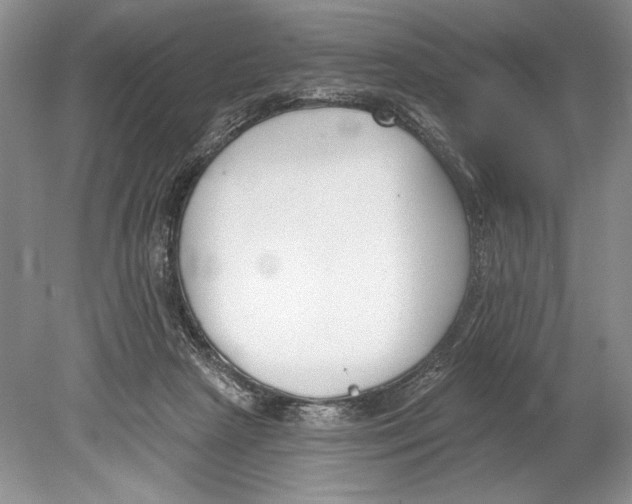 X0000078890265200612111813