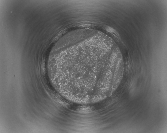 X0000078890267200612111813