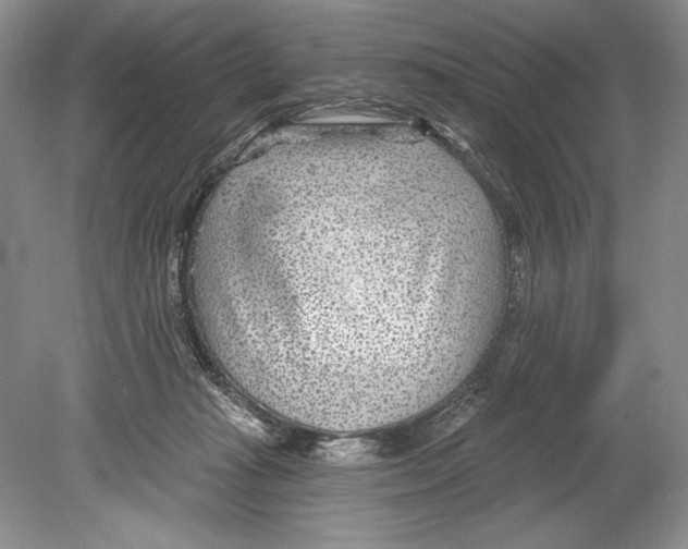 X0000078890269200612111813