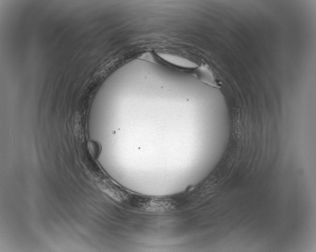 X0000078890270200612111813