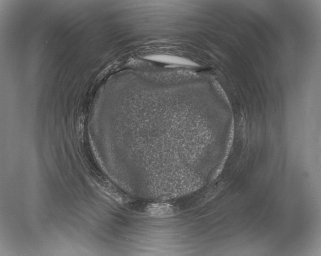 X0000078890271200612111813