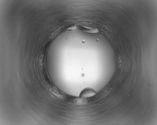 X0000078890275200612111813