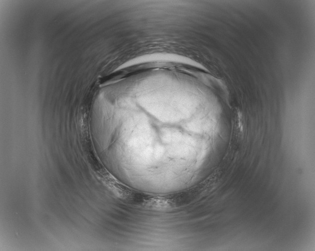 X0000078890276200612111813