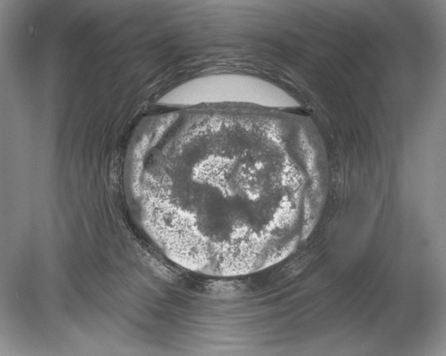 X0000078890277200612111813