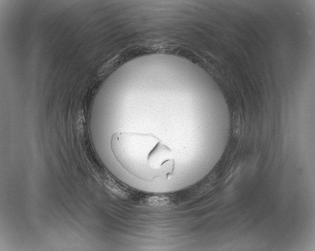 X0000078890279200612111813