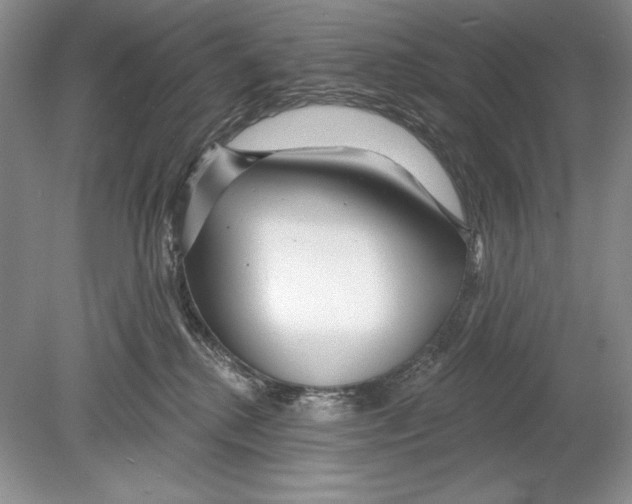 X0000078890280200612111813