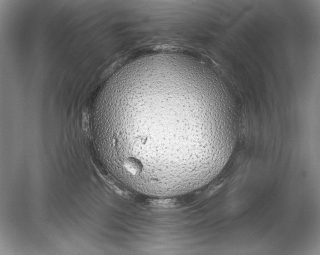 X0000078890281200612111813