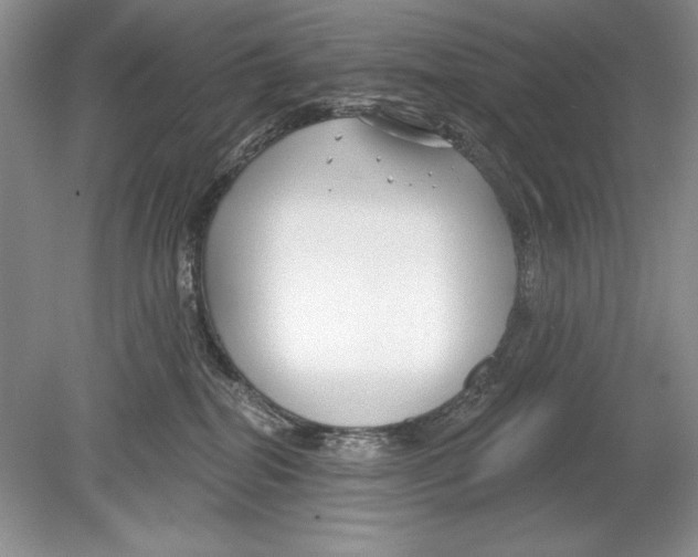 X0000078890282200612111813