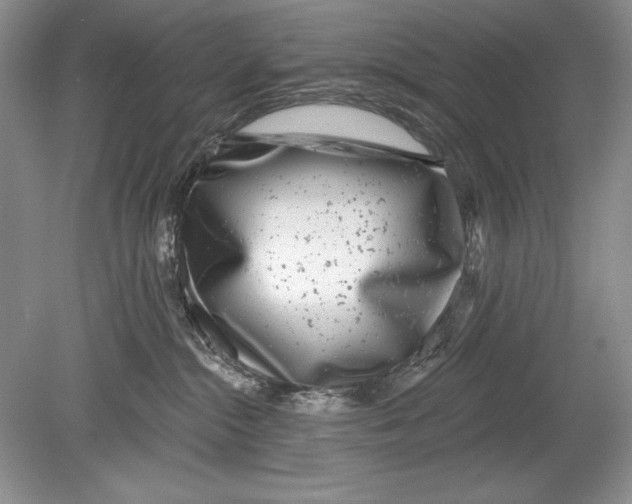 X0000078890284200612111813