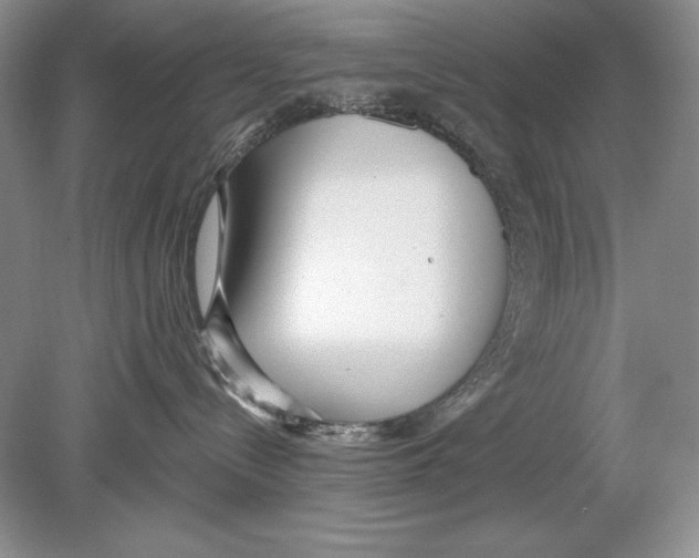 X0000078890288200612111813