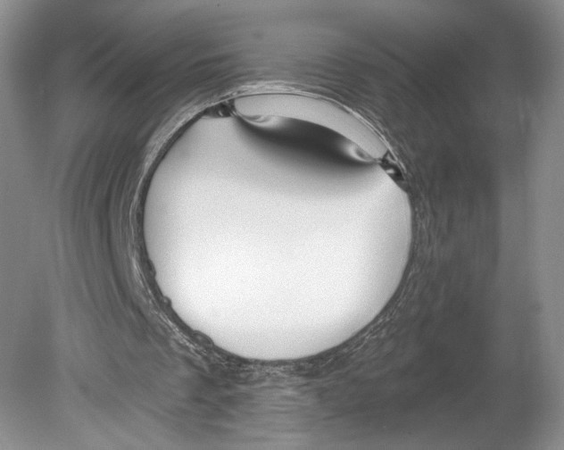 X0000078890289200612111812