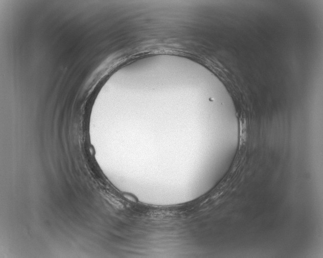 X0000078890291200612111812