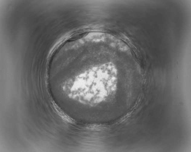 X0000078890293200612111812