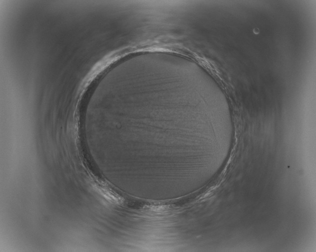 X0000078890295200612111812