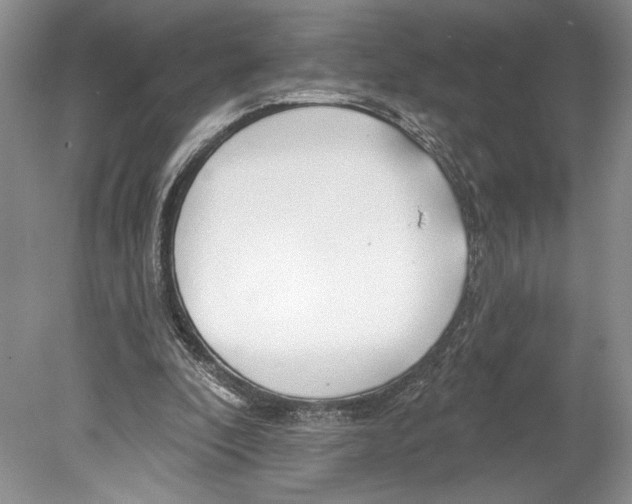 X0000078890296200612111812