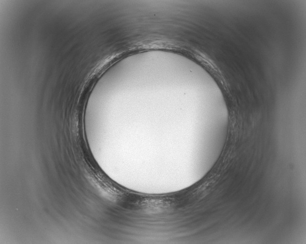 X0000078890298200612111812