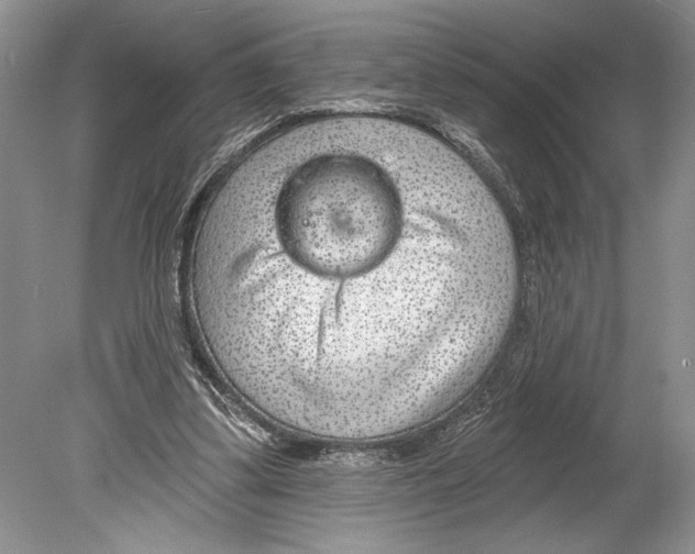 X0000078890299200612111812