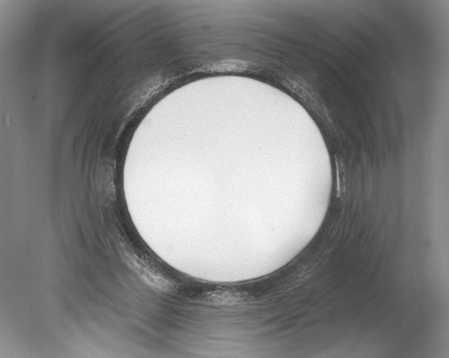 X0000078890300200612111812