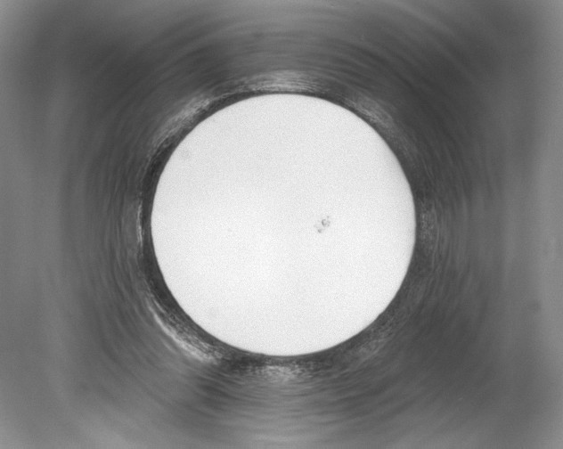 X0000078890302200612111812