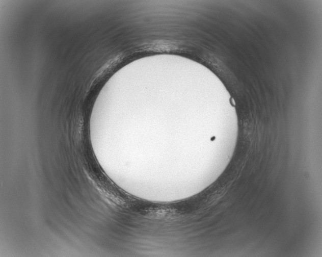 X0000078890304200612111812