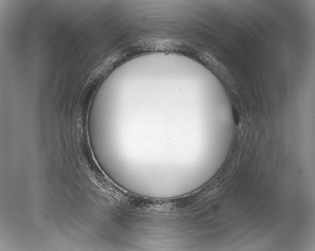 X0000078890306200612111812