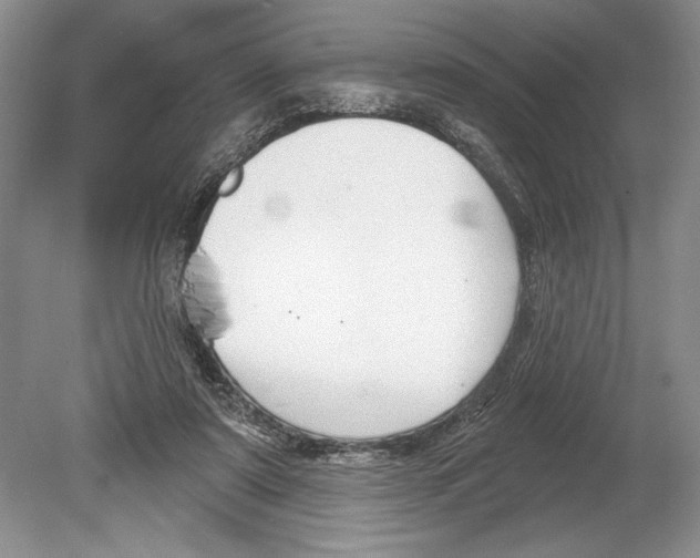 X0000078890307200612111812