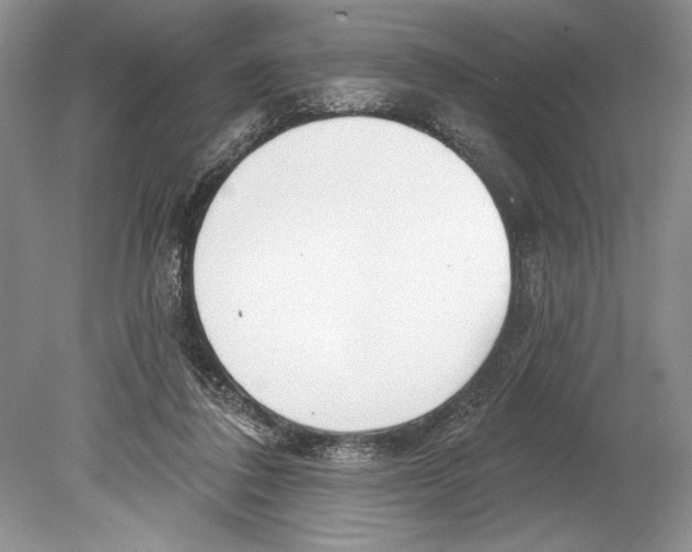 X0000078890308200612111812