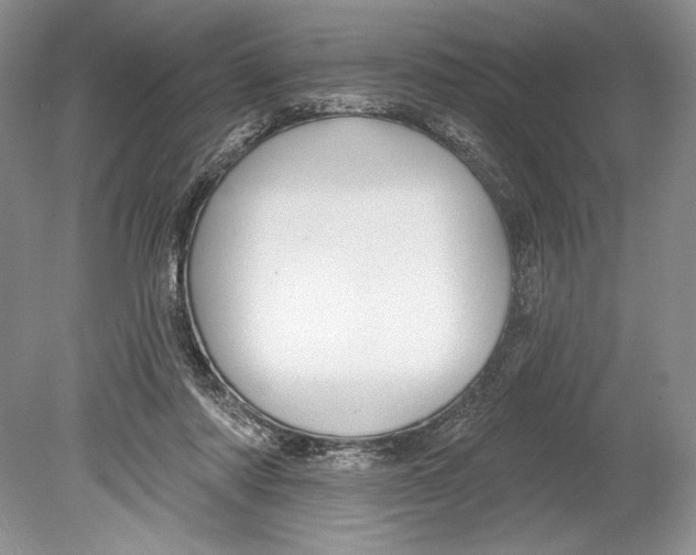 X0000078890310200612111812