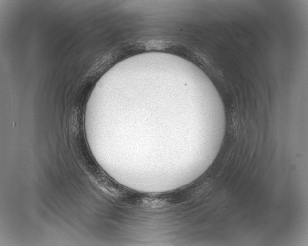 X0000078890311200612111812