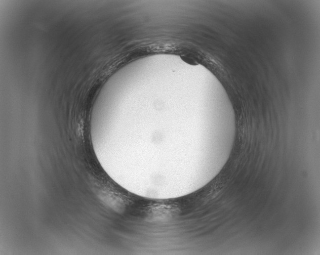 X0000078890315200612111812