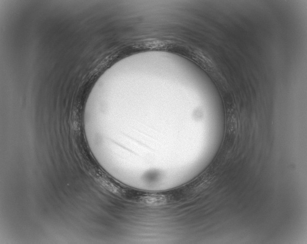 X0000078890317200612111812